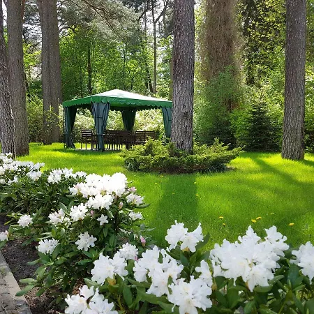 Reverans * בורנה סולינובו