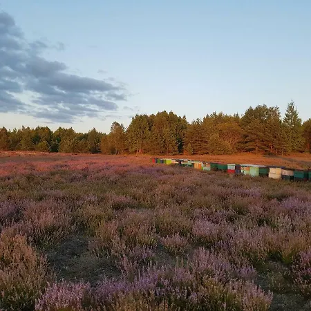 Reverans Alloggio in famiglia Borne Sulinowo