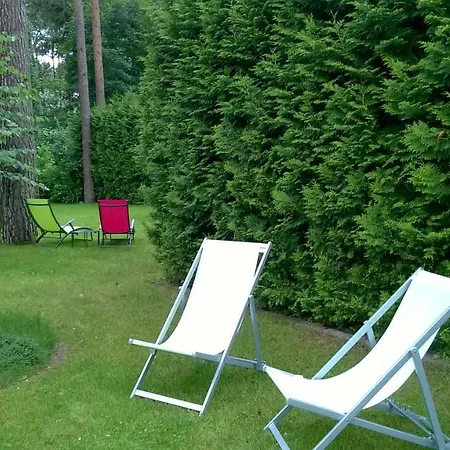 Reverans בית אירוח