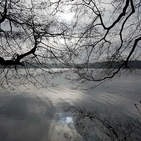 בית אירוח Reverans בורנה סולינובו