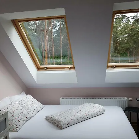 Reverans Alloggio in famiglia