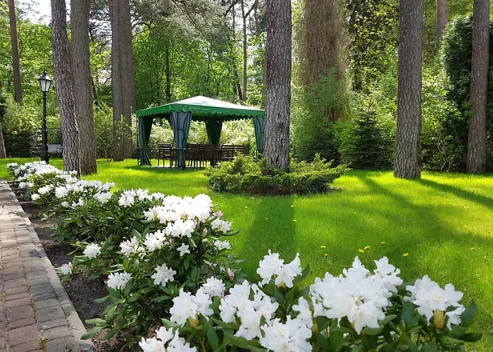 Reverans * ボルネ・スリノボ