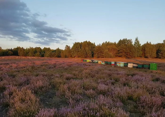 Reverans ホームステイ ボルネ・スリノボ