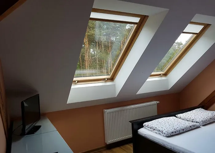 Reverans ホームステイ *