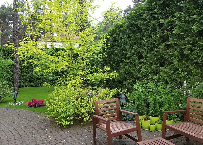 Reverans Borne Sulinowo