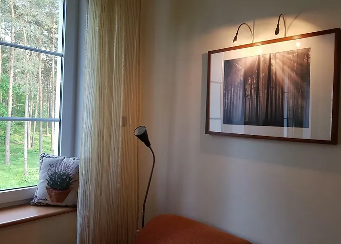 Reverans * Borne Sulinowo